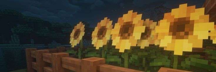 minecraft sunflower header